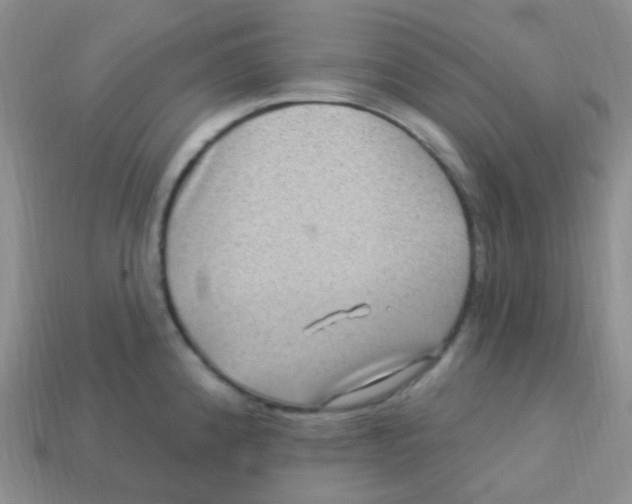 X0000113271192200910081354