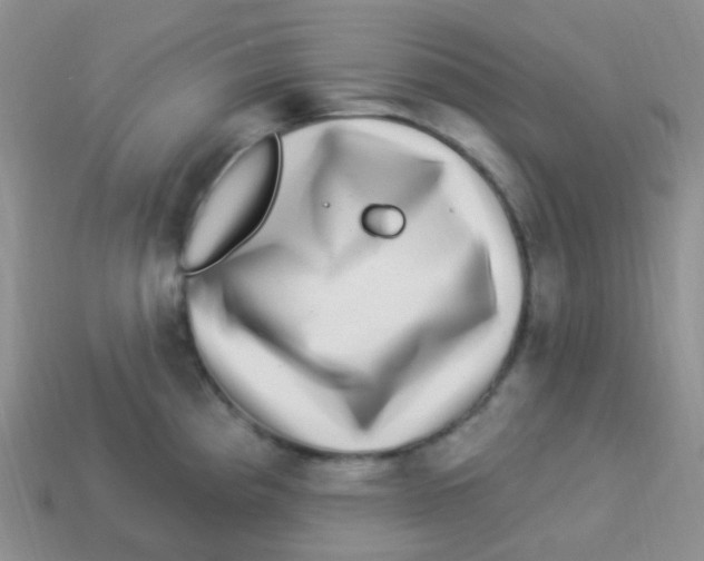 X0000113271193200910081354