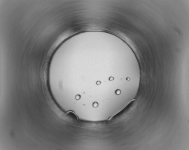 X0000113271195200910081354