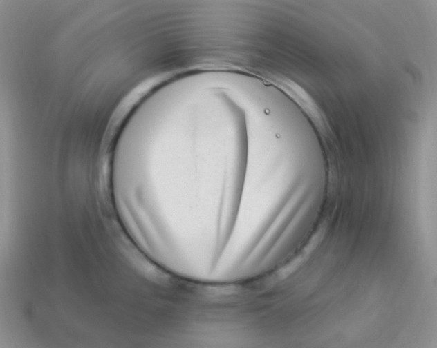 X0000113271196200910081354