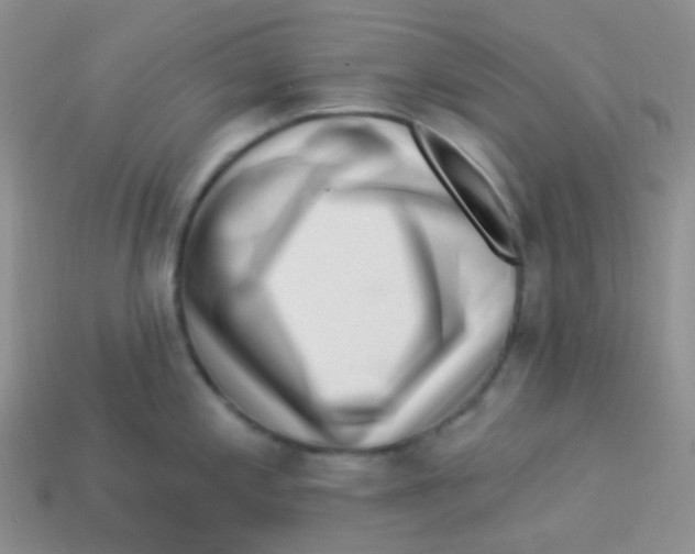 X0000113271197200910081354