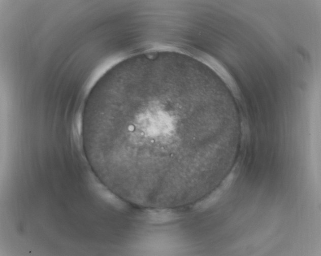 X0000113271198200910081354