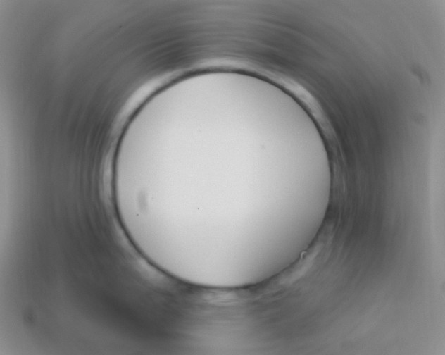 X0000113271199200910081354