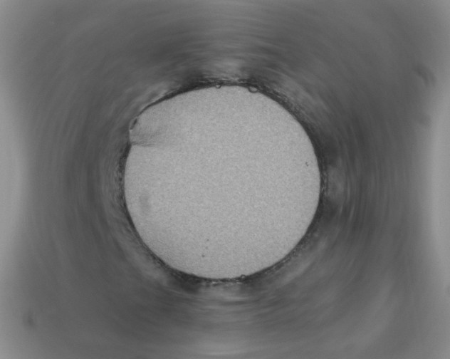 X0000113271201200910081353