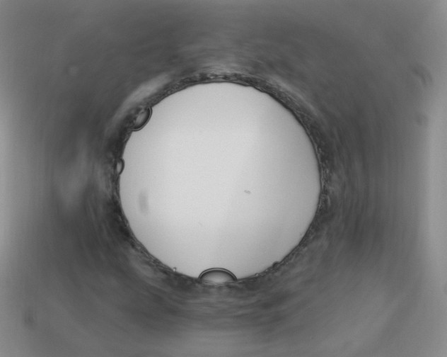 X0000113271207200910081353