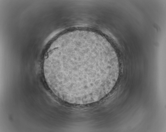 X0000113271208200910081353