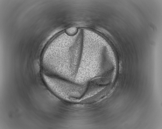 X0000113271212200910081353