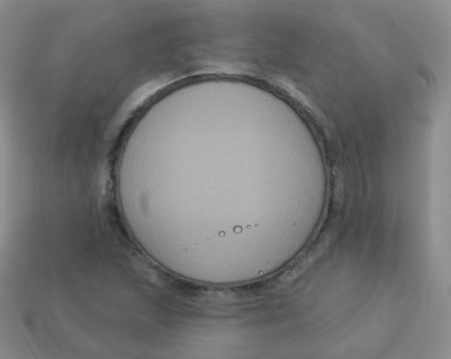 X0000113271215200910081353