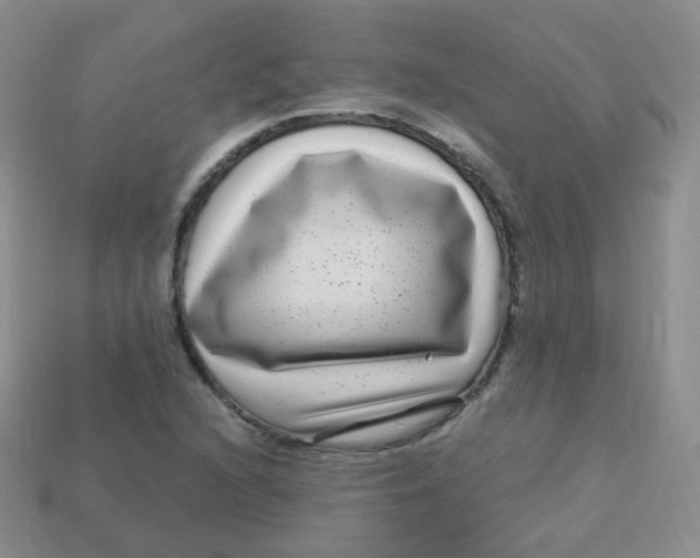 X0000113271216200910081353