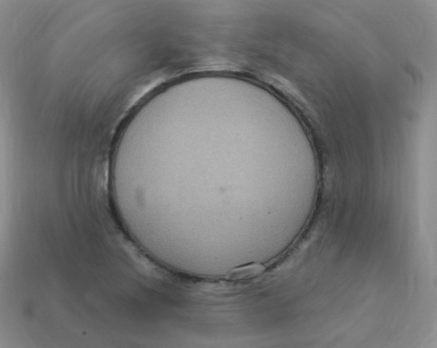 X0000113271220200910081354