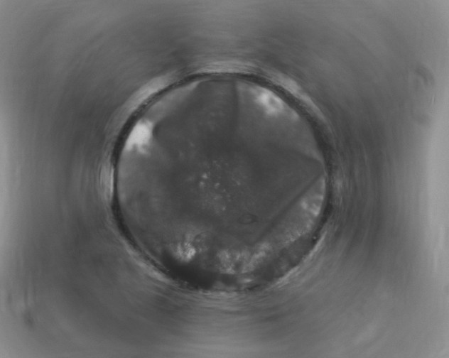 X0000113271221200910081354