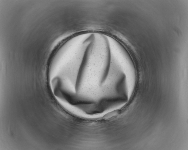 X0000113271222200910081354