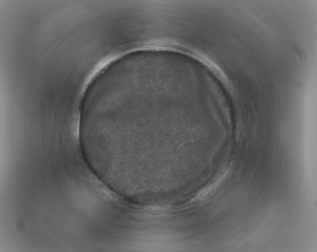 X0000113271224200910081354