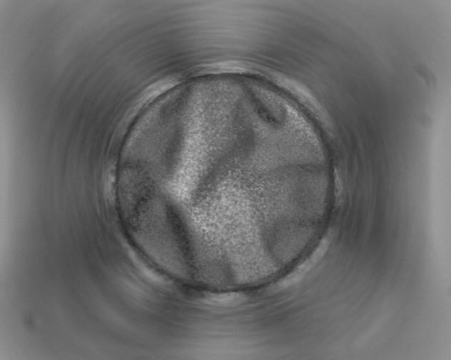 X0000113271225200910081354