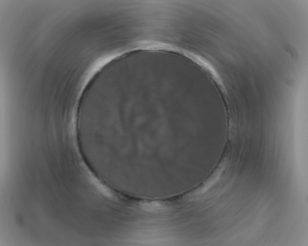 X0000113271231200910081354