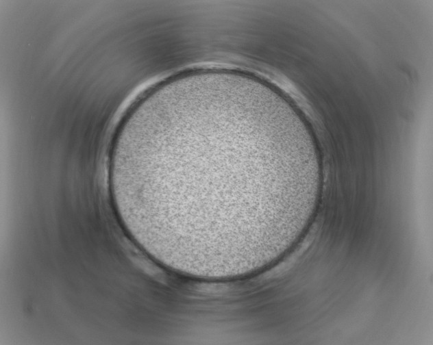 X0000113271232200910081354