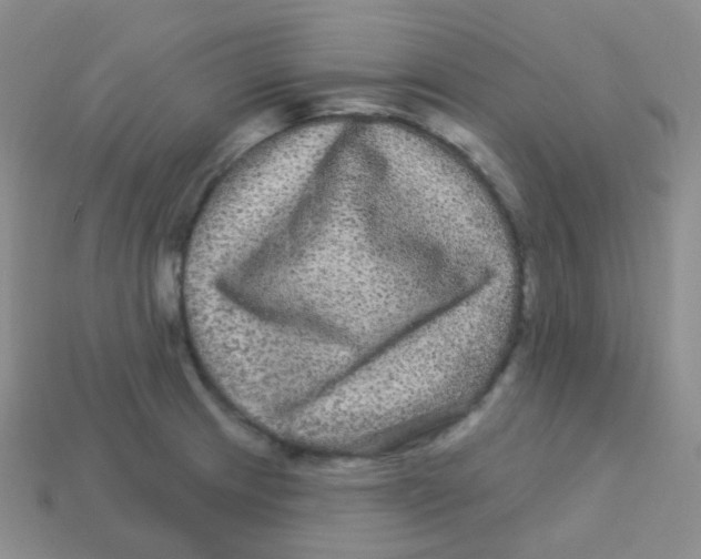 X0000113271233200910081354