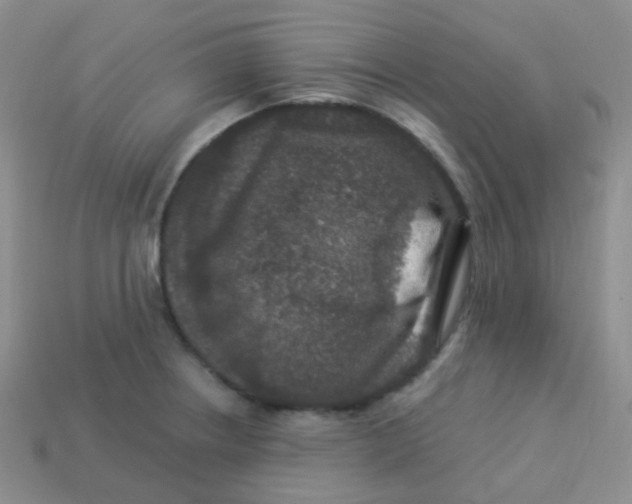 X0000113271234200910081354