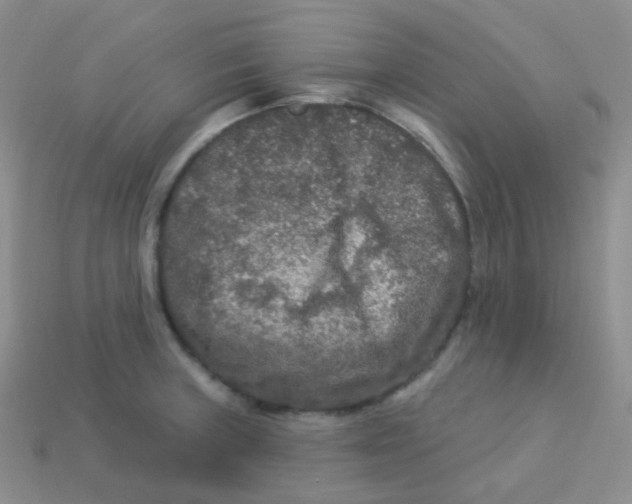 X0000113271235200910081354