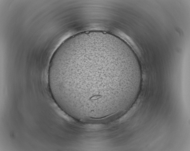 X0000113271236200910081354