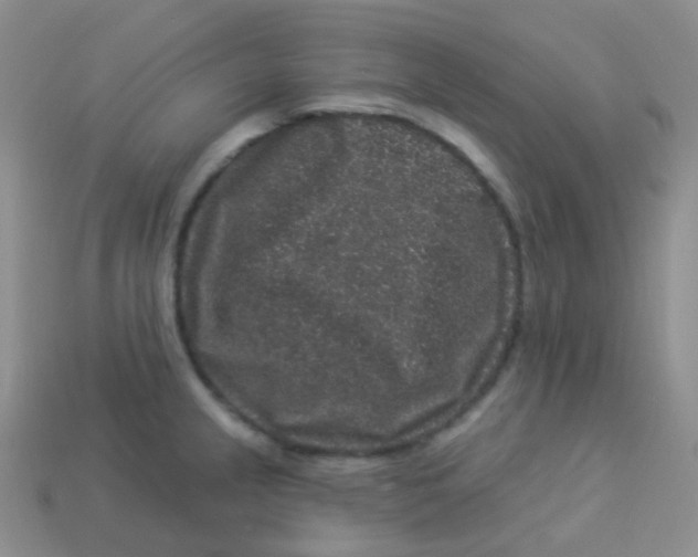 X0000113271237200910081354