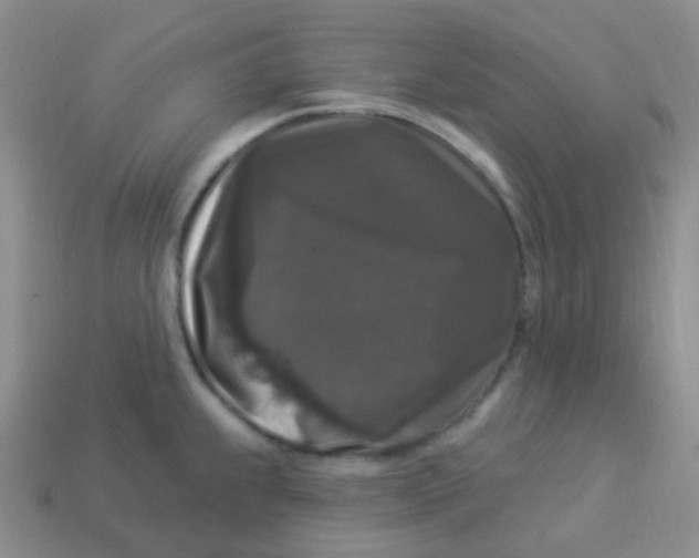 X0000113271239200910081354