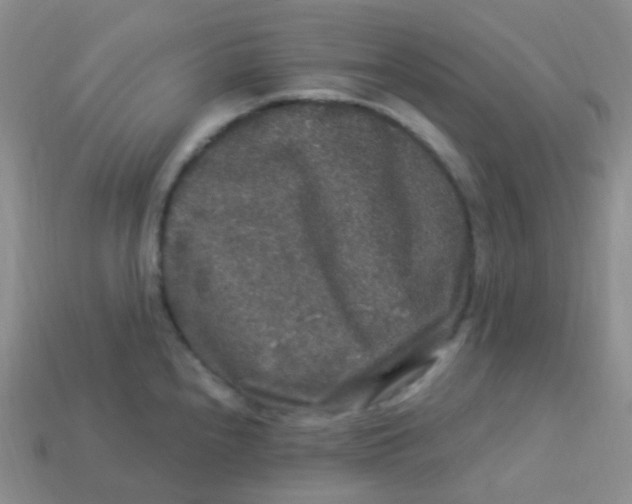 X0000113271240200910081354