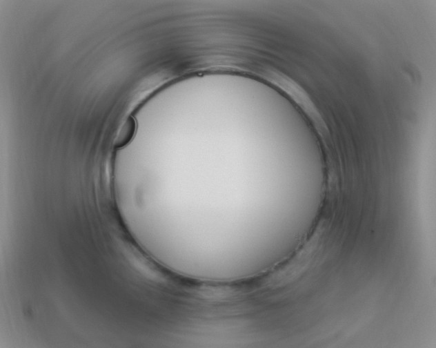 X0000113271242200910081354