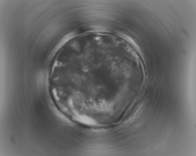 X0000113271243200910081354