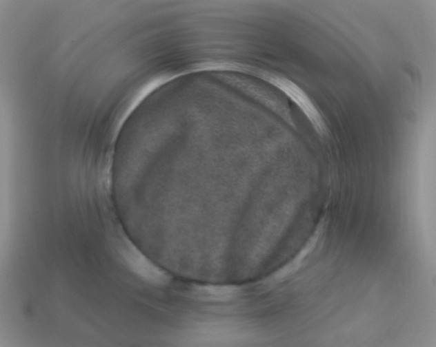 X0000113271244200910081354