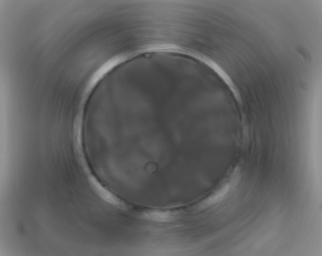 X0000113271245200910081354