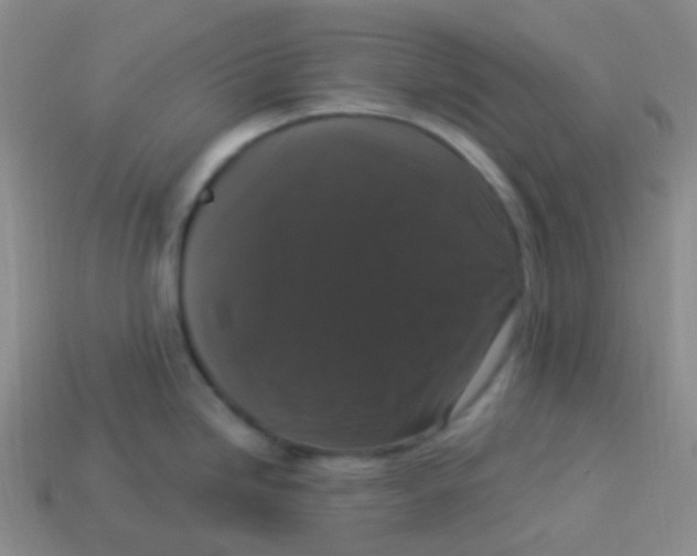 X0000113271246200910081354