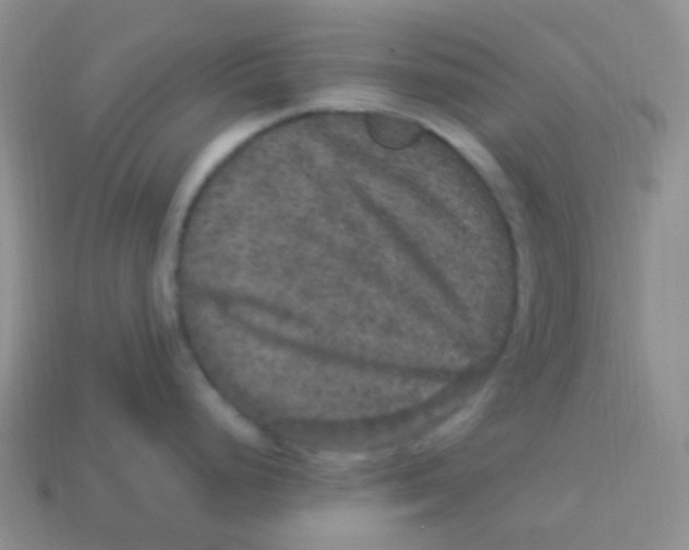 X0000113271248200910081354