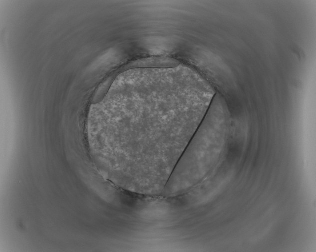 X0000113271249200910081353