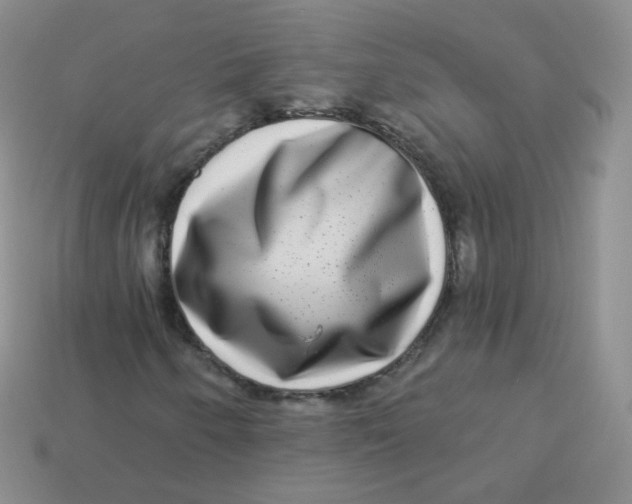 X0000113271250200910081353