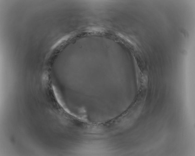 X0000113271254200910081353