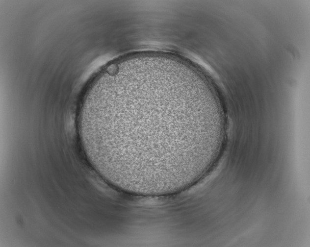 X0000113271259200910081353