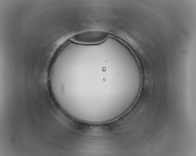 X0000113271264200910081353