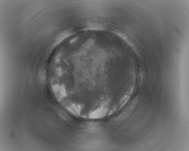 X0000113271266200910081353