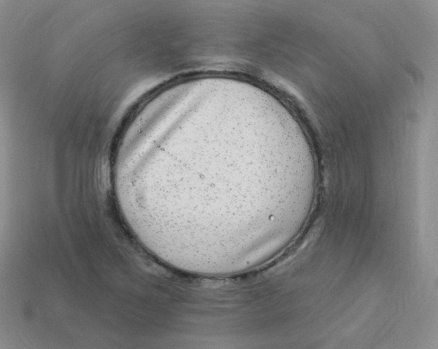 X0000113271267200910081353