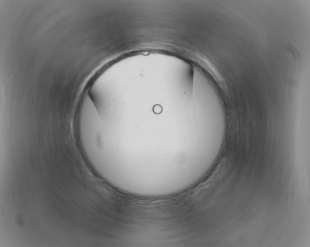 X0000113271268200910081353