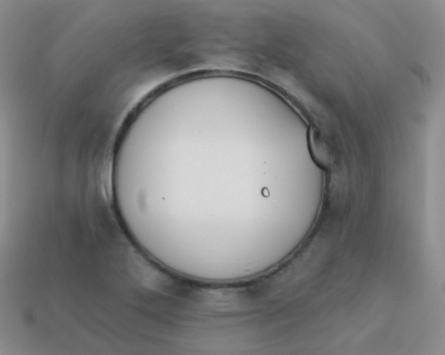 X0000113271272200910081353