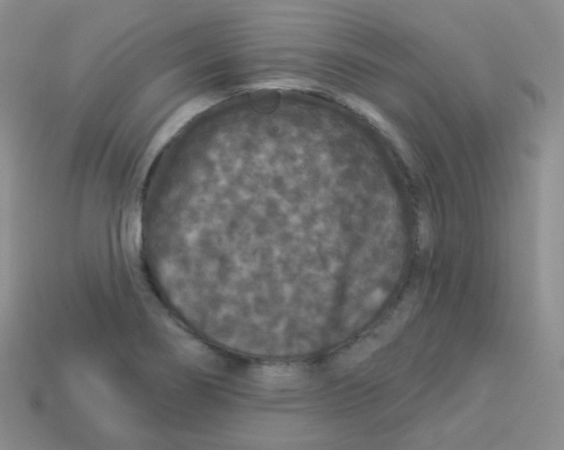 X0000113271274200910081353