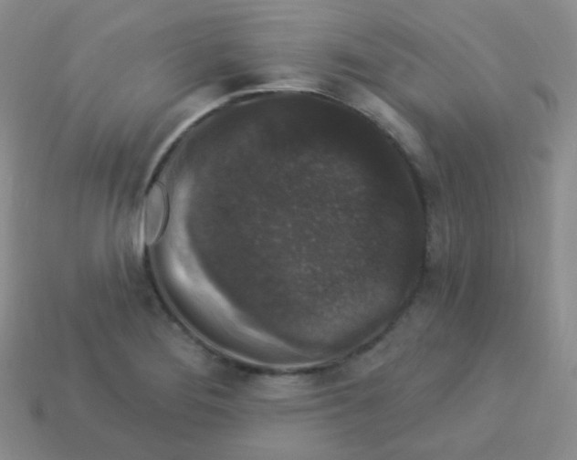 X0000113271276200910081353