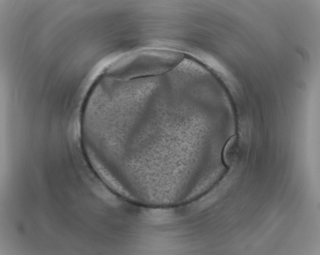 X0000113271280200910081353