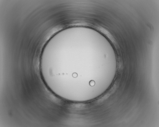 X0000113271282200910081353