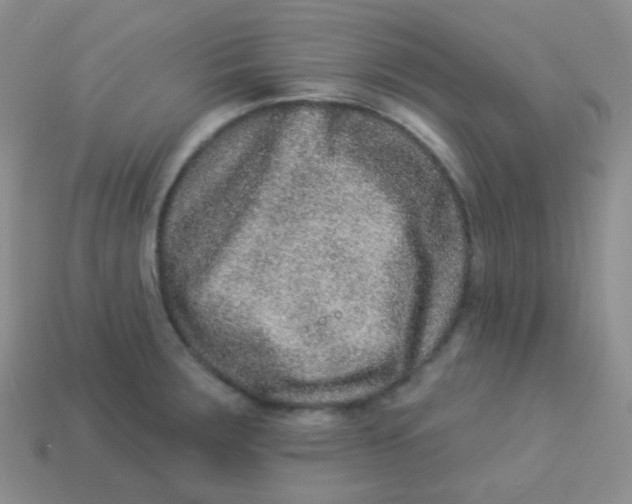 X0000113271283200910081353