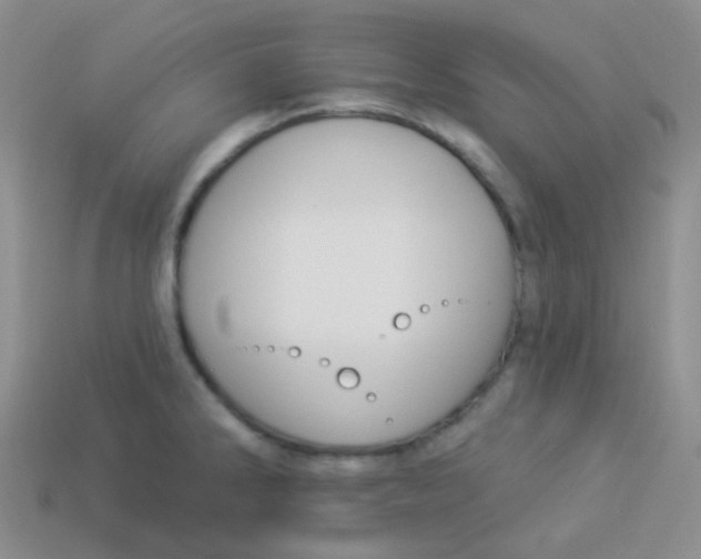 X0000113271286200910081353