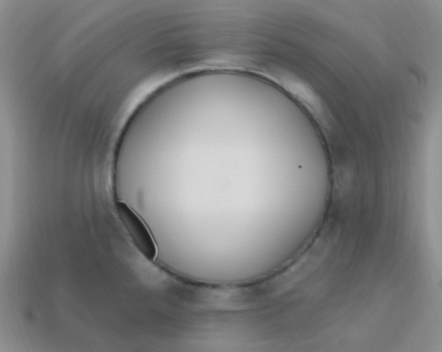 X0000113271288200910081353