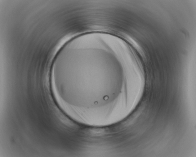 X0000113271291200910081353